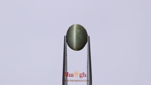 Catseye - 3.7 Carat