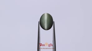 Catseye - 3.9 Carat