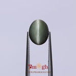 Catseye - 3.9 Carat