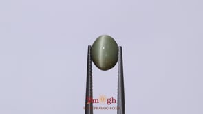 Catseye - 3.73 Carat