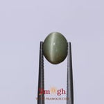 Catseye - 3.73 Carat