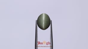 Catseye - 4.55 Carat
