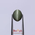 Catseye - 4.55 Carat
