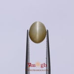 Catseye - 3.25 Carat
