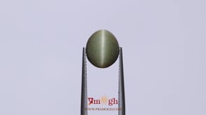Catseye - 4.7 Carat