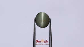 Catseye - 4.6 Carat
