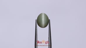 Catseye - 2.55 Carat