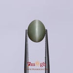 Catseye - 2.55 Carat