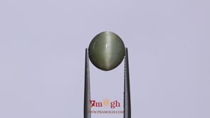 Catseye - 4.8 Carat