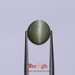 Catseye - 4.8 Carat