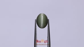 Catseye - 3.15 Carat