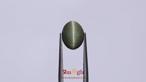 Catseye - 4.8 Carat