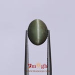 Catseye - 4.8 Carat