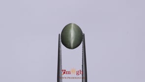 Catseye - 4.07 Carat