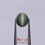 Catseye - 4.07 Carat