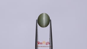 Catseye - 2.75 Carat