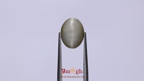 Catseye - 3.75 Carat