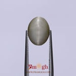 Catseye - 3.75 Carat