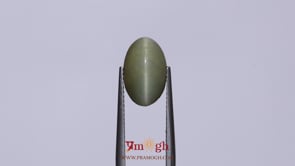 Catseye - 5.5 Carat