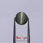 Catseye - 3.6 Carat