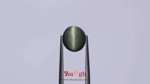 Catseye - 3.9 Carat
