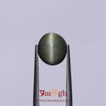 Catseye - 3.9 Carat