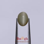 Catseye - 3.25 Carat