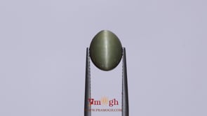 Catseye - 4.85 Carat