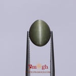 Catseye - 4.85 Carat