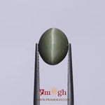 Catseye - 4.8 Carat