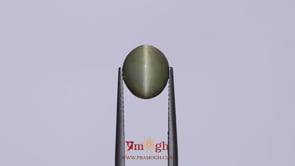 Catseye - 3.8 Carat