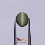 Catseye - 3.8 Carat