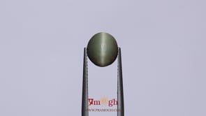 Catseye - 3.6 Carat