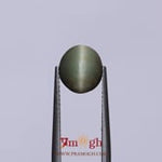 Catseye - 3.6 Carat