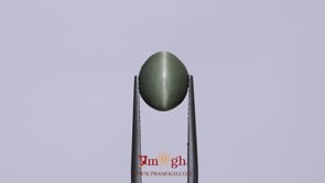Catseye - 4.5 Carat