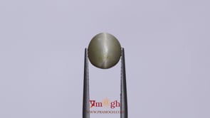 Catseye - 3.85 Carat