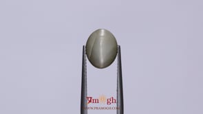 Catseye - 3.83 Carat