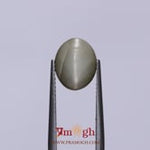Catseye - 3.83 Carat