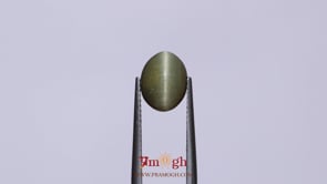 Catseye - 3.22 Carat