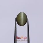 Catseye - 3.22 Carat