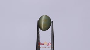 Catseye - 3.74 Carat