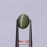 Catseye - 3.74 Carat