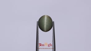 Catseye - 4.25 Carat
