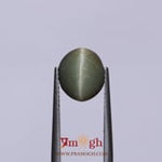 Catseye - 4.25 Carat