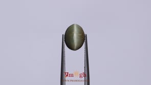 Catseye - 3.1 Carat
