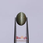 Catseye - 3.1 Carat