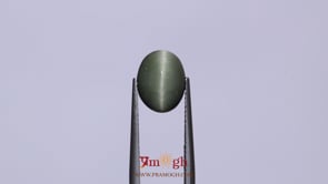 Catseye - 4.38 Carat