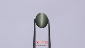Catseye - 4.68 Carat