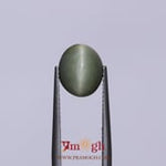 Catseye - 4.68 Carat