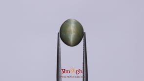 Catseye - 4.65 Carat